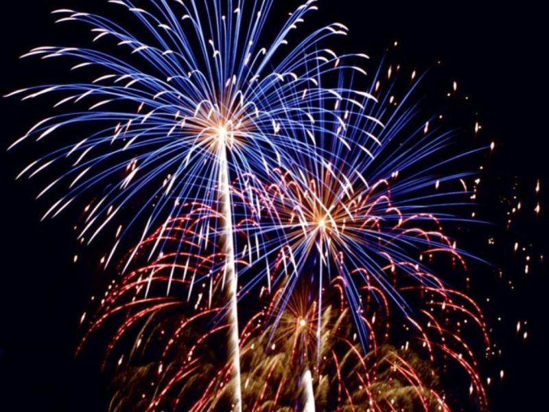 Sylvester mit Tier,&nbsp;2025