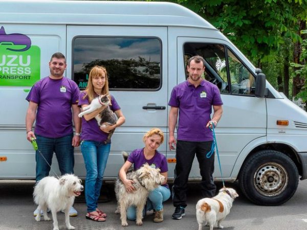 1. Happy-Bus 2026 – 8 Haustiere finden ein&nbsp;Zuhause