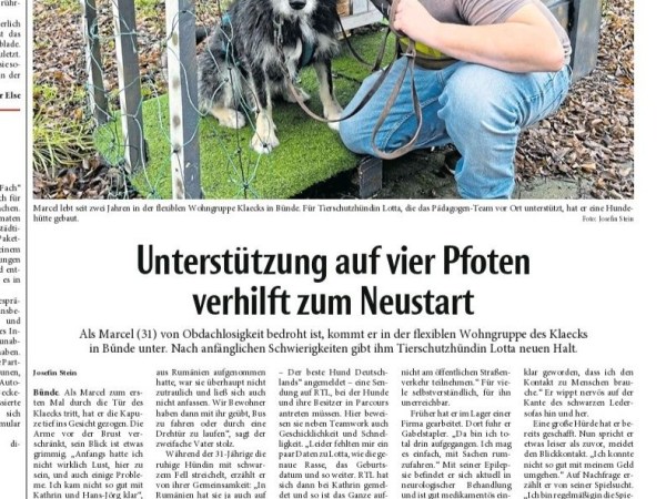 Vom Straßenhund zum&nbsp;Begleithund